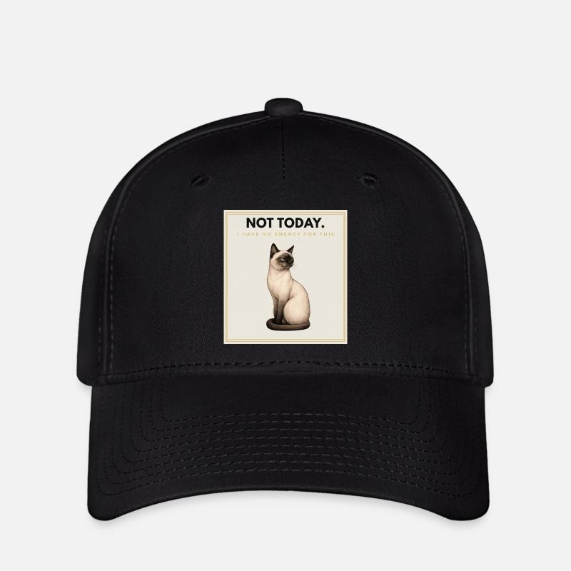 PAS AUJOURD’HUI. Noble Cat Introverti Conception du Mème - Casquette Flexfit - noir