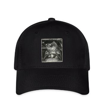 Zander Flashed - Flexfit Cap - black - Front