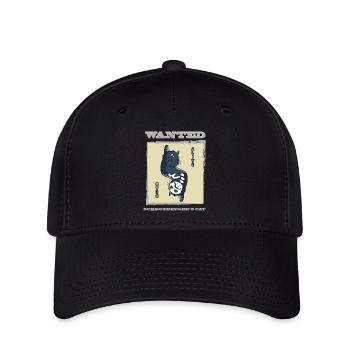 Le chat de Schrödinger - Casquette Flexfit - noir - Devant