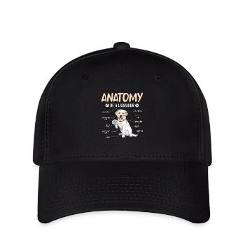 Anatomie du Labrador - Casquette Flexfit - noir - Devant