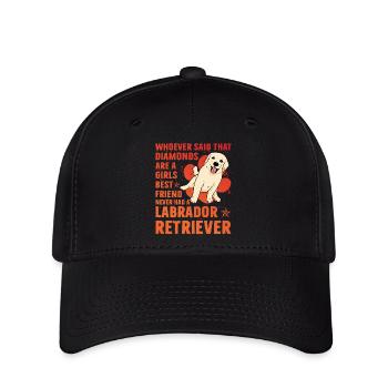 Labrador - Flexfit Cap - Schwarz - Vorne