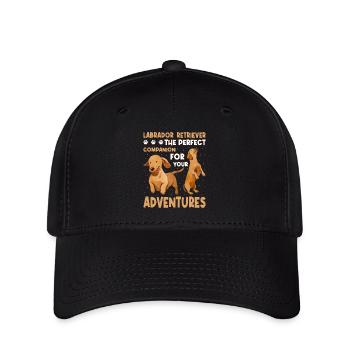 Labrador - Flexfit Cap - Schwarz - Vorne