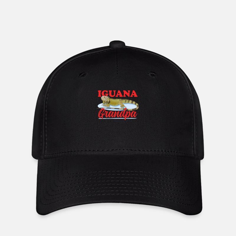 Iguana Grandpa Lizard Reptile Iguanas Gift - Flexfit Cap - black