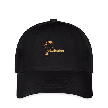 Labrador - Flexfit Cap - Schwarz - Vorne