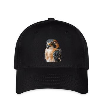 Faucon - Casquette Flexfit - noir - Devant