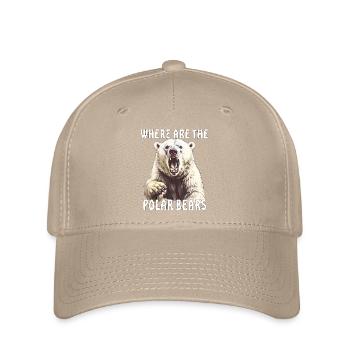 OÙ SONT LES OURS POLAIRES - Casquette Flexfit - kaki - Devant
