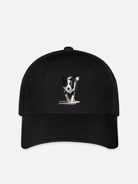 Border Collie - Flexfit Cap - Schwarz