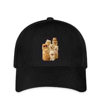 Persisch - Flexfit Cap - Schwarz - Vorne