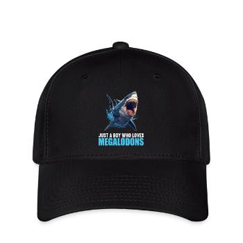 Megalodons Megalodon - Flexfit Cap - Schwarz - Vorne