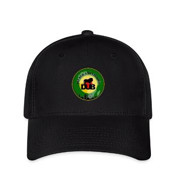 Dub Ambassador - Flexfit Cap - black - Front