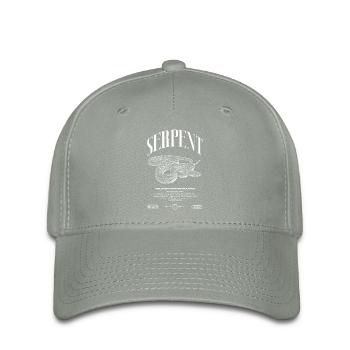 Python réticulé Reptile Keeper Streetwear - Casquette Flexfit - gris vert - Devant