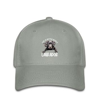 Labrador - Casquette Flexfit - gris vert - Devant
