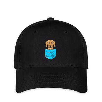 Rhodésian Ridgeback - Casquette Flexfit - noir - Devant