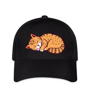 schlafende Katze Kätzchen Tigerkatze - Flexfit Cap - Schwarz - Vorne