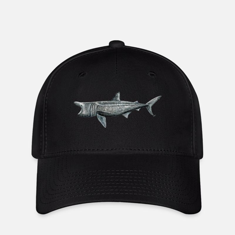 Pilgrim shark - Basking shark - Requin pelerin - Flexfit Cap - black