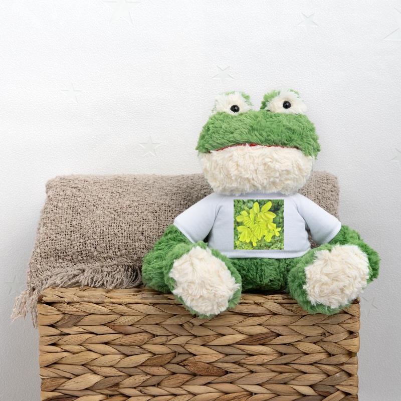 Japan-Rose / Be a difference maker MiniFeet® Frosch Torge