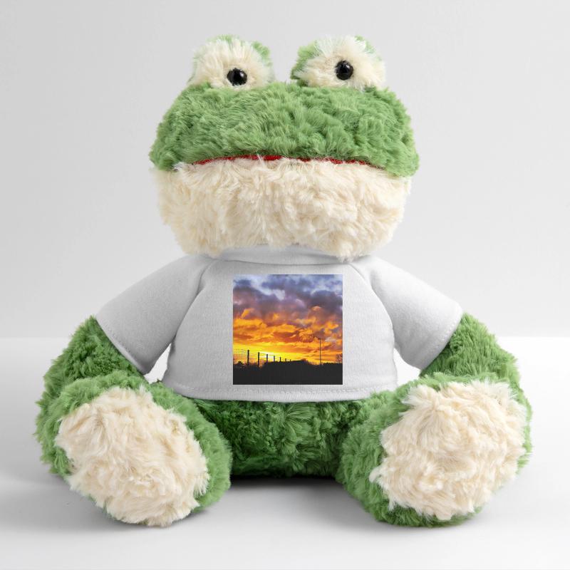 Coucher de soleil – Couleurs de feu dans le ciel du soir Grenouille Torge MiniFeet®