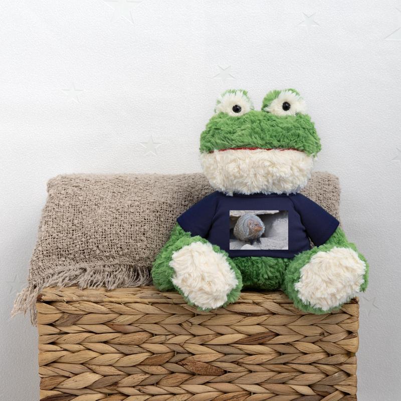 Gebänderte Manguste oder Zebramanguste MiniFeet® Frosch Torge