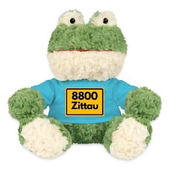 8800 02763 ZITTAU SAXONY 8800 OLD POSTCODE - MiniFeet® Frog Torge - atoll blue - Front