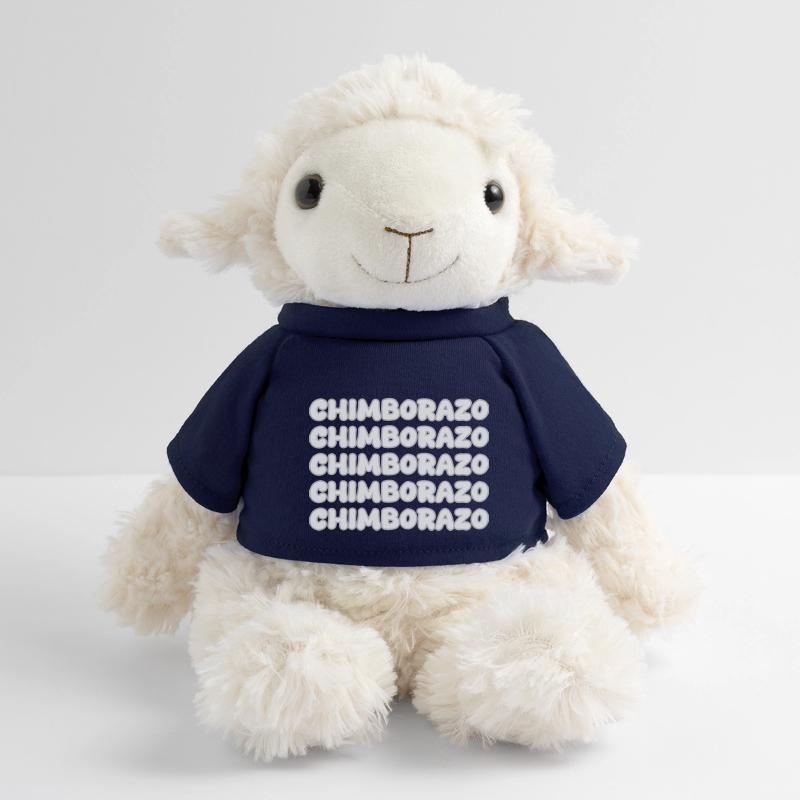 Chimborazo as climbing MiniFeet® Sheep Annika