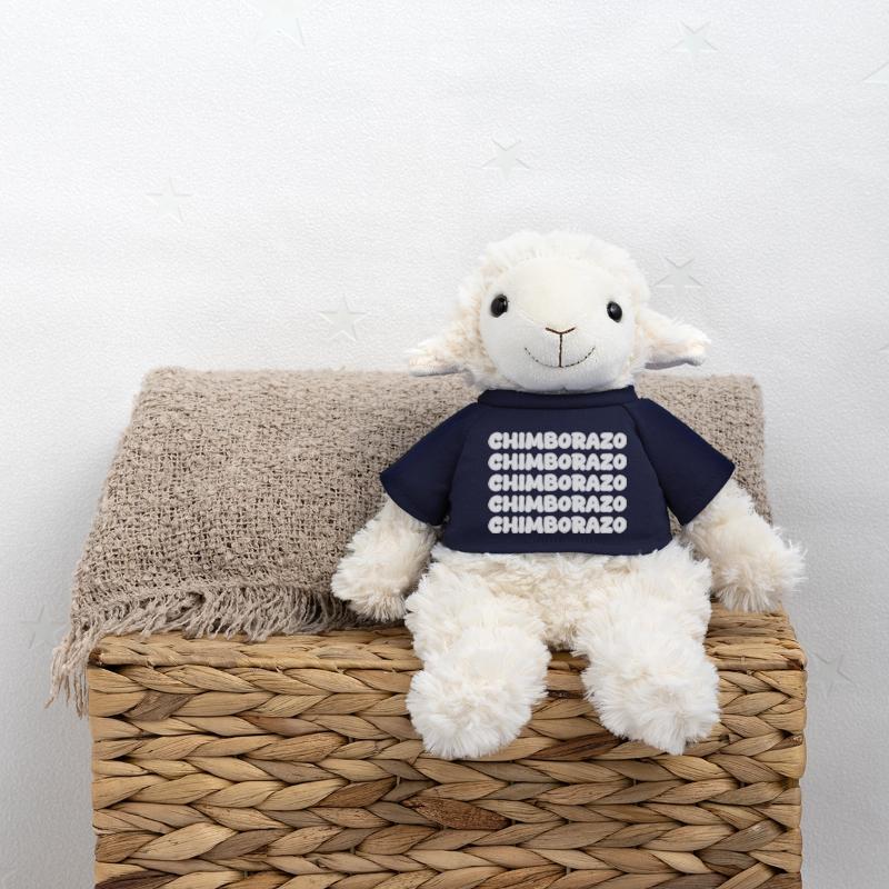 Chimborazo as climbing MiniFeet® Sheep Annika
