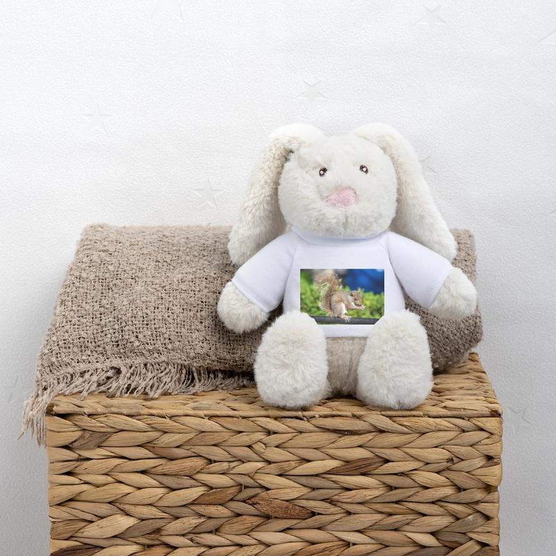 Manger Écureuil gris Grauhörnchen Sciurus carolin Lapin en peluche recyclé MiniFeet® Crème