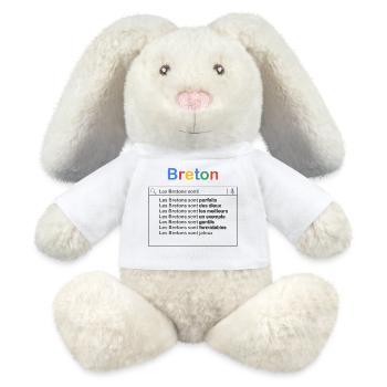 Breton recherche - Lapin en peluche recyclé MiniFeet® Crème - blanc - Devant
