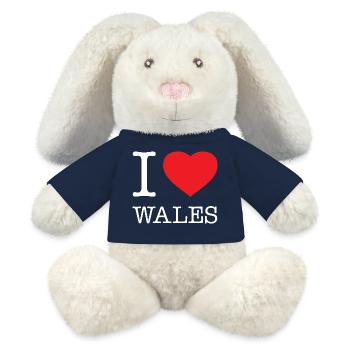 J’ADORE LE PAYS DE GALLES - Lapin en peluche recyclé MiniFeet® Crème - bleu marine - Devant