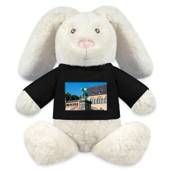 Reiterstandbild Wilhelms I. in der Kaiserpfalz - MiniFeet® RecycelHase® Creme - Schwarz - Vorne