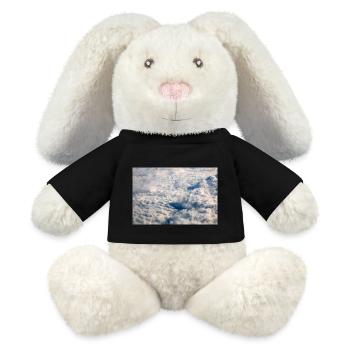 Formations nuageuses et Alpes près de la Zugspitze - Lapin en peluche recyclé MiniFeet® Crème - noir - Devant