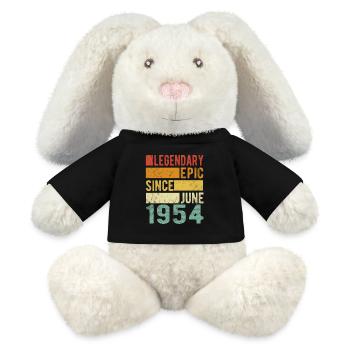 Anniversaire Juin 1954 Épopée légendaire - Lapin en peluche recyclé MiniFeet® Crème - noir - Devant