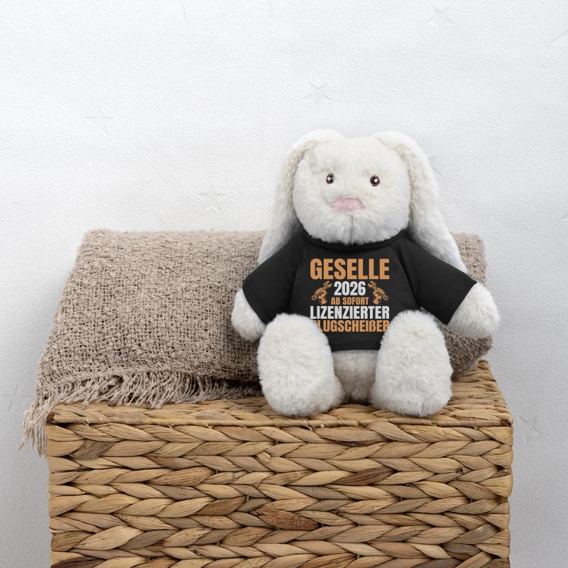 Formation complétée pour technicien mécatronique automobile 2026 Lapin en peluche recyclé MiniFeet® Crème