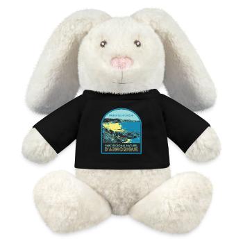 Parc armorique, Presqu'île Crozon : Nature Côtière - Lapin en peluche recyclé MiniFeet® Crème - noir - Devant