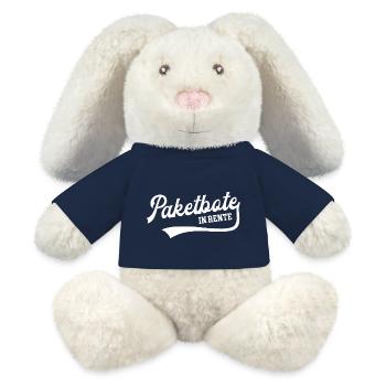 Paketbote in Rente Bote Rentner Renteneintritt - MiniFeet® RecycelHase® Creme - French Navy - Vorne