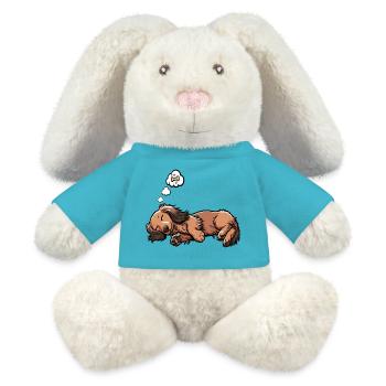 Langhaardackel Dackel Dackelhalter Teckel Tekkel - MiniFeet® RecycelHase® Creme - Atollblau - Vorne