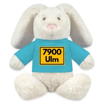 ANCIEN CODE POSTAL RETRO 7900 ULM MÜNSTERSTADT - Lapin en peluche recyclé MiniFeet® Crème - bleu outremer - Devant