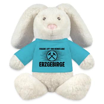 Erzgebirge Frische Luft - MiniFeet® RecycelHase® Creme - Atollblau - Vorne