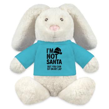 ich bin nicht der Weihnachtsmann, aber du kannst auf meinem Schoß sitzen - MiniFeet® RecycelHase® Creme - Atollblau - Vorne