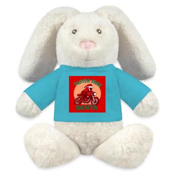 Faster than Santa - MiniFeet® RecycelHase® Bunny Cream - atoll blue - Front
