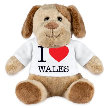 J’ADORE LE PAYS DE GALLES - Chien en peluche Helge MiniFeet® - blanc - Devant