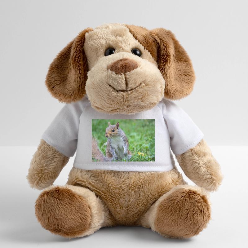 Grey squirrel Grauhörnchen Sciurus carolinensis MiniFeet® Dog Helge