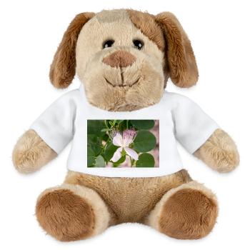 Kapernstrauch auch Flinders-Rose Capparis spinosa - MiniFeet® Hund Helge - Weiß - Vorne