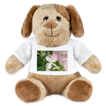 Kapernstrauch auch Flinders-Rose Capparis spinosa - MiniFeet® Hund Helge - Weiß - Vorne