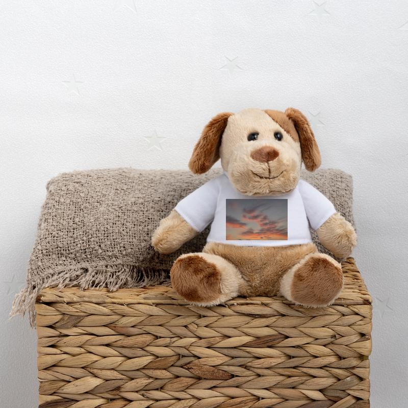Fire sky MiniFeet® Dog Helge
