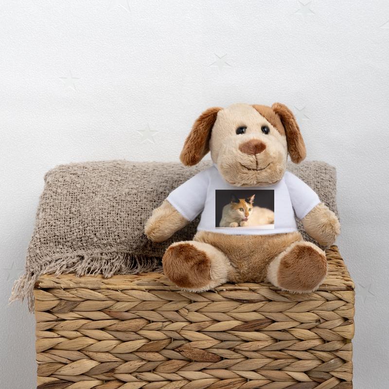 The cat MiniFeet® Dog Helge