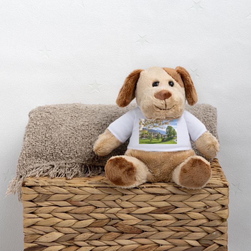 Spring magic in Zug MiniFeet® Dog Helge