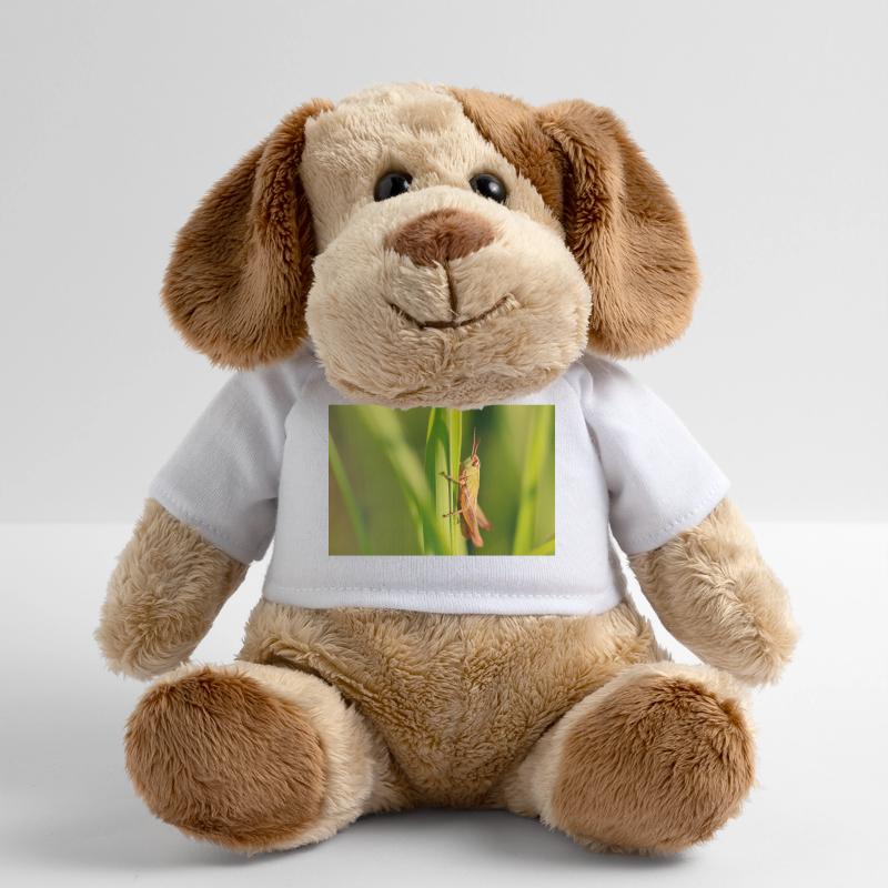 Cute grasshopper illustration on green MiniFeet® Dog Helge