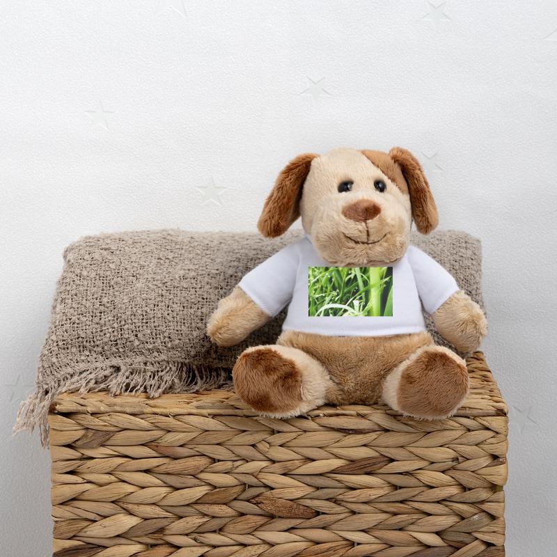 Morgengras MiniFeet® Hund Helge