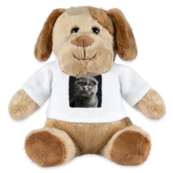 Scottish Fold Kitten Scottish Fold Cat - MiniFeet® Dog Helge - white - Front
