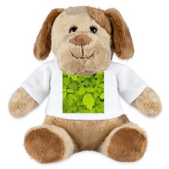 Ash maple / Acer negundo - MiniFeet® Dog Helge - white - Front